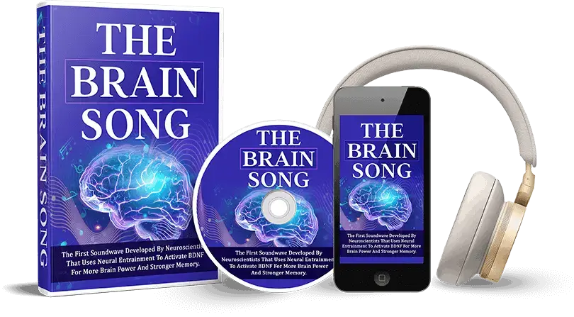 the brain song-price