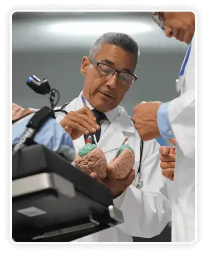 who made the brain song?