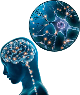 what is the brain song